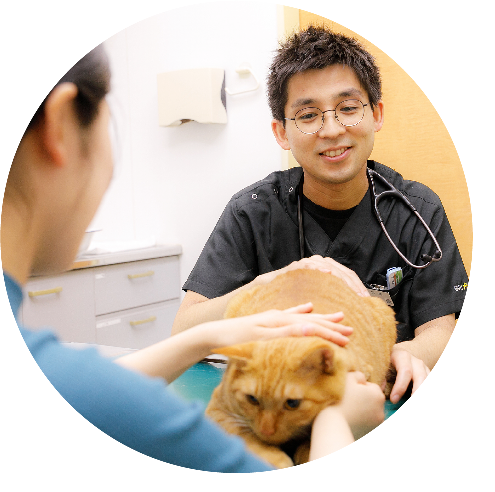 まこと犬と猫の病院院長