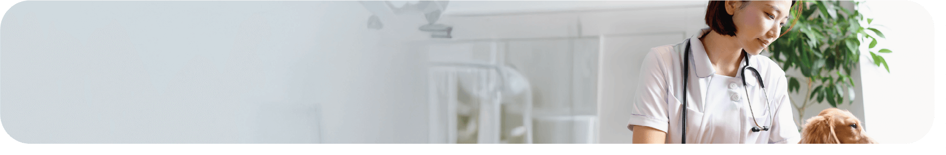 まこと犬と猫の病院の採用情報