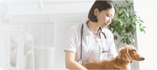 まこと犬と猫の病院の採用情報