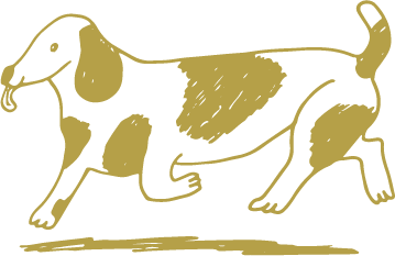 まこと犬と猫の病院