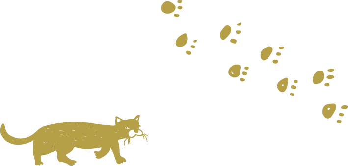 まこと犬と猫の病院