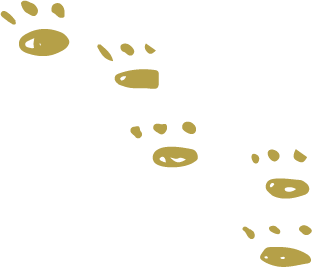 まこと犬と猫の病院