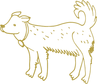 まこと犬と猫の病院